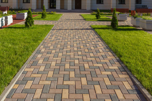 Best Best Driveway Pavers  in Surgoinsville, TN